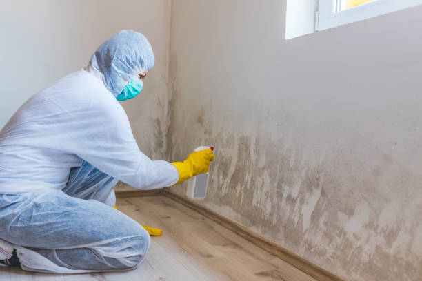 Bathroom Mold Removal assessment in Sanibel bathroom